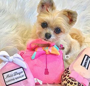 オートディギティドッグ Haute Diggity Dog 犬 おもちゃ 【Pink Barkin