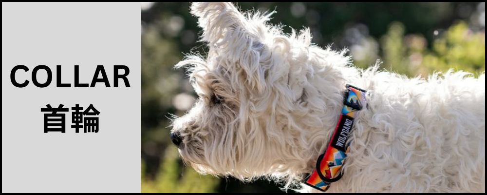 ウルフギャング　首輪