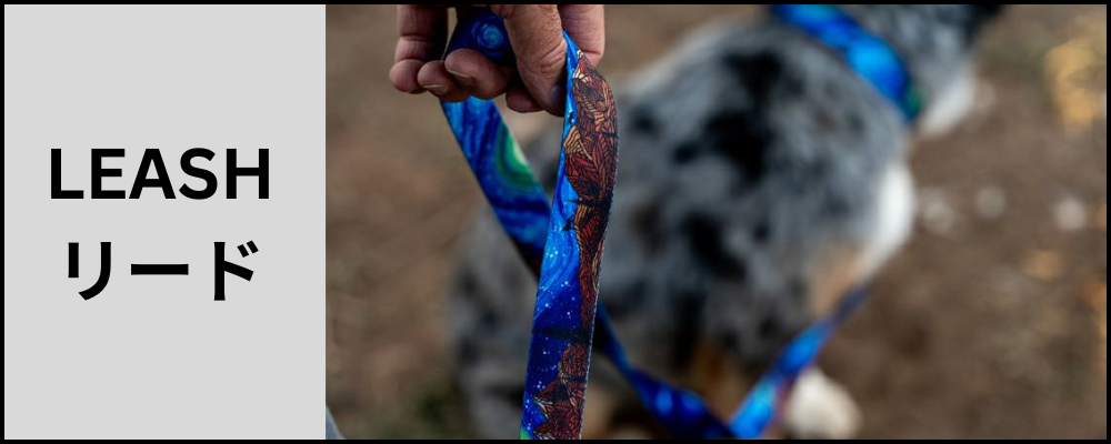 ウルフギャング　リード