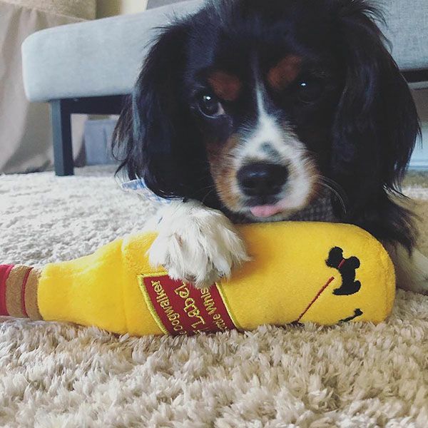 オートディギティドッグ Haute Diggity Dog 犬 おもちゃ 【Johnnie