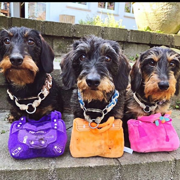 オートディギティドッグ Haute Diggity Dog 犬 おもちゃ 【Pink Barkin