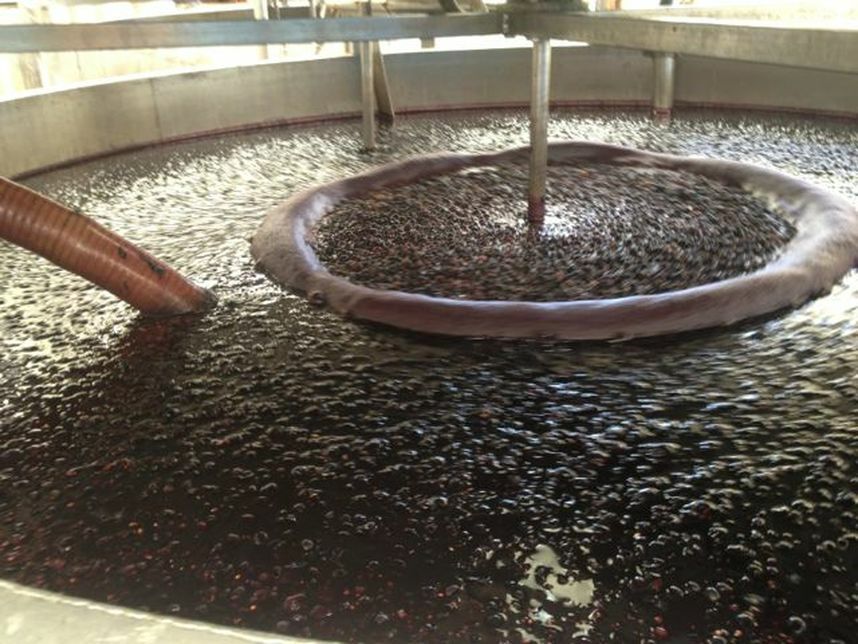 有機ブドウジュース　100%ぶどうジュース　モスト・ドゥーヴァ 750ml　イタリア　モデナ産　小林もりみセレクト