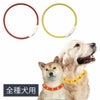 ペット用　光る首輪