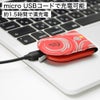 ナイトアイズ タグリット USB充電式LEDライト マグネットLEDマーカー NITEIZE TAGLIT 国内正規品