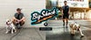 【ステッカープレゼント】ウルフギャング マン＆ビースト リード Sサイズ 小型犬用 BigShock WL-001-75 【メール便対応商品 3点まで】 国内正規品