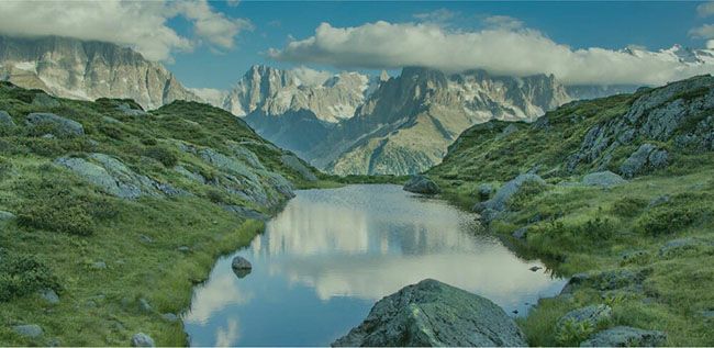 ペット用スプレー　消臭