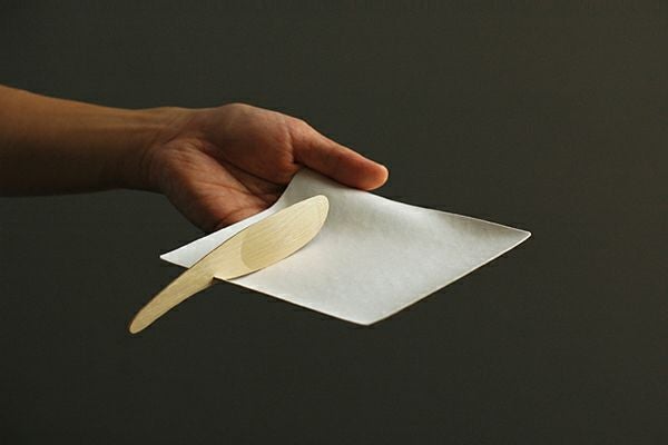 WASARA ワサラ 竹製スプーン・12本セット 紙皿 紙の器 国内正規品