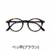 イジピジ 老眼鏡 ブルーライトカット PCメガネ IZIPIZI #D SCREEN BLACK TORTOISE BLUE ブラック ブラウン ブルー