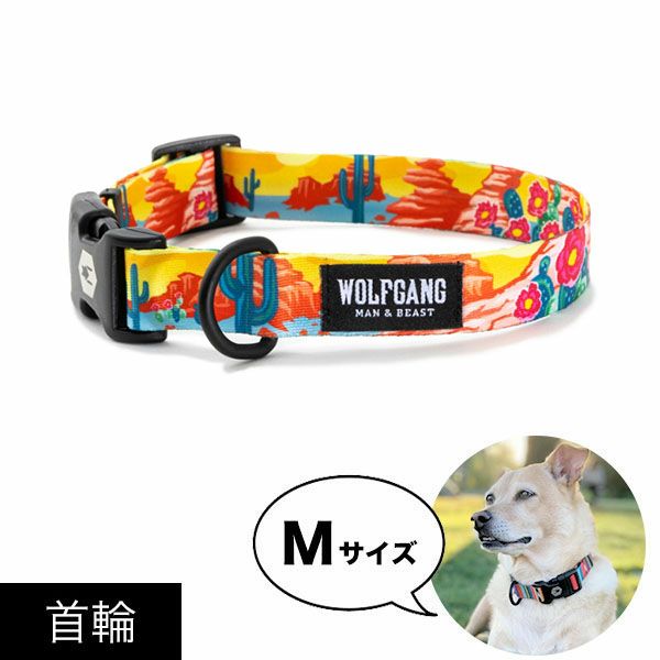 タンバリン【新品未使用】wolfgang首輪Mとリード183cm タンバリン様専用【新品未使用】wolfgang首輪Mとリード183cm 【公式通販】