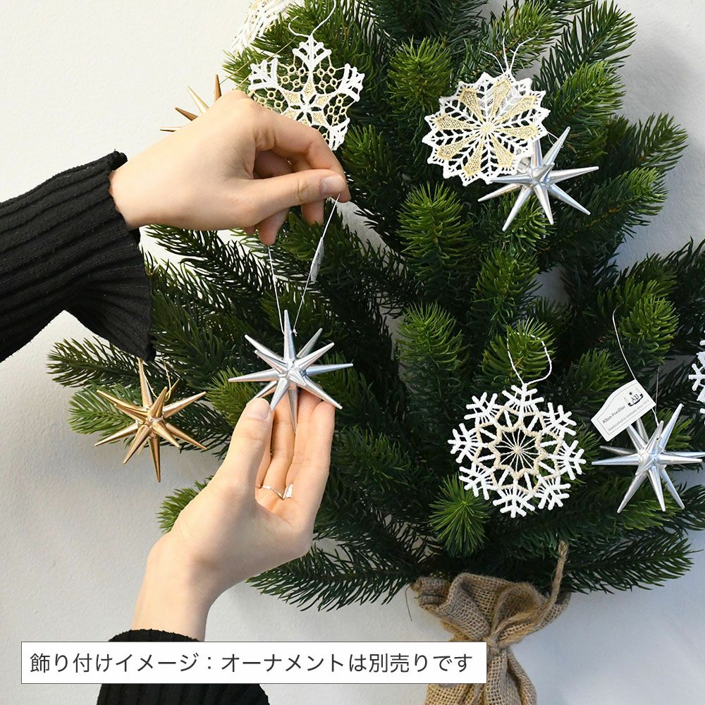 壁掛け式 クリスマスツリー （オーナメント別売） 国内正規品 | 物語の