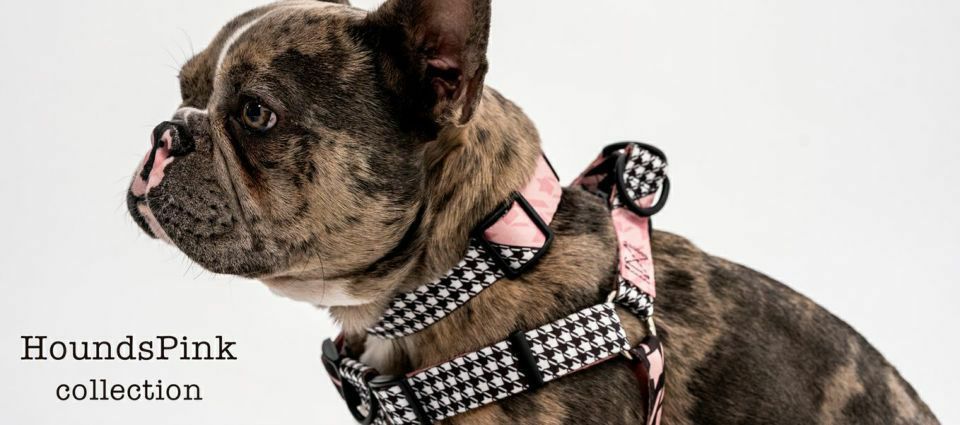 ウルフギャング マン＆ビースト リード Mサイズ 中型犬用 HoundsPink