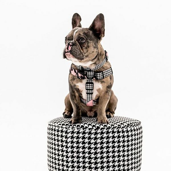 ウルフギャング マン＆ビースト ハーネスリードセット LMサイズ 大型犬