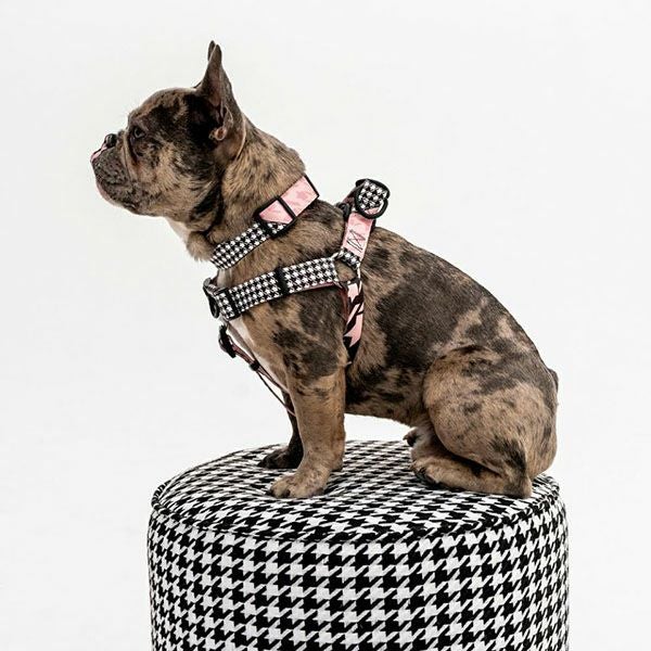 ウルフギャング マン＆ビースト ハーネスリードセット LMサイズ 大型犬