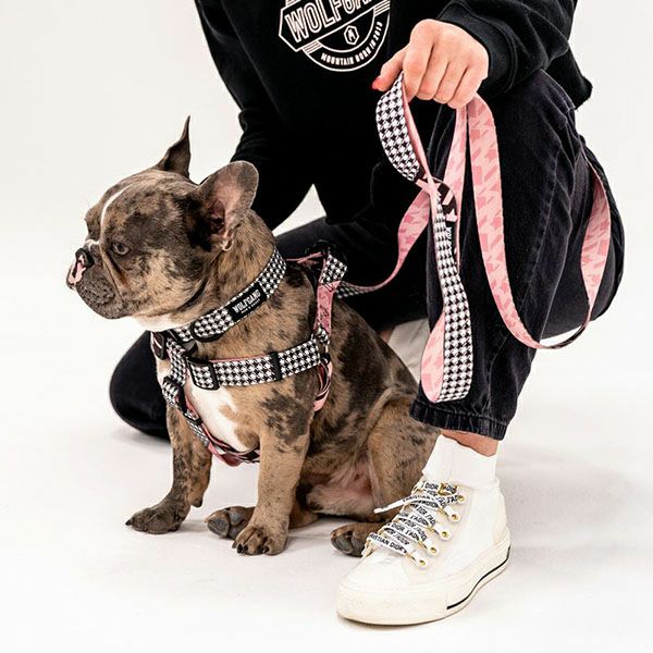 ヒ*チ様 WOLFGANG ウルフギャング ハーネスM リードS 犬用 2点セッ ウルフギャング マン＆ビースト ハーネスリードセット LMサイズ 大型犬