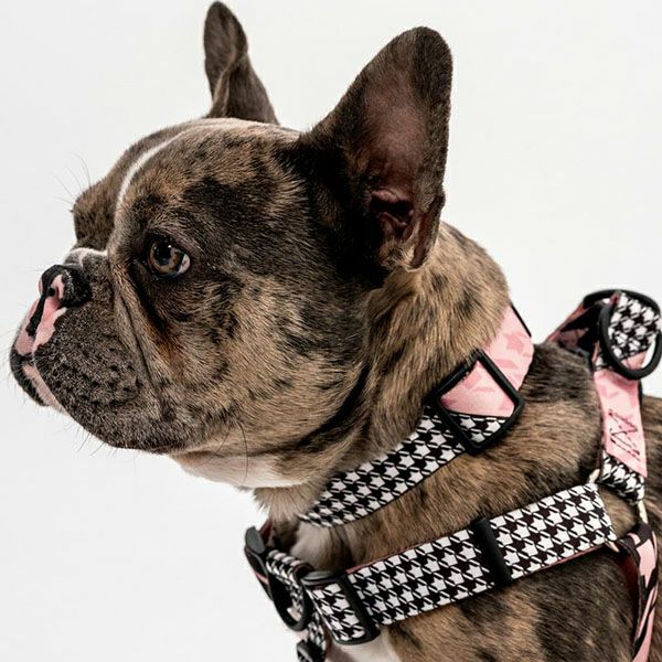 ウルフギャング マン＆ビースト ハーネスリードセット LMサイズ 大型犬