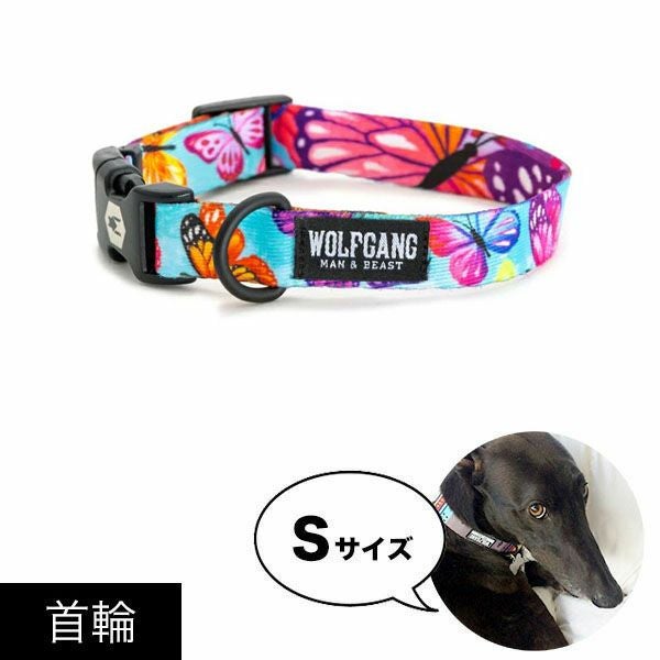 かっこいい小型犬用首輪 ウルフギャングマン＆ビースト公式販売店
