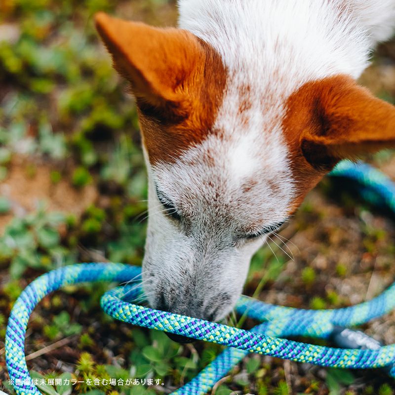 フローフォールド Flowfold 首輪 Sサイズ 小型犬用