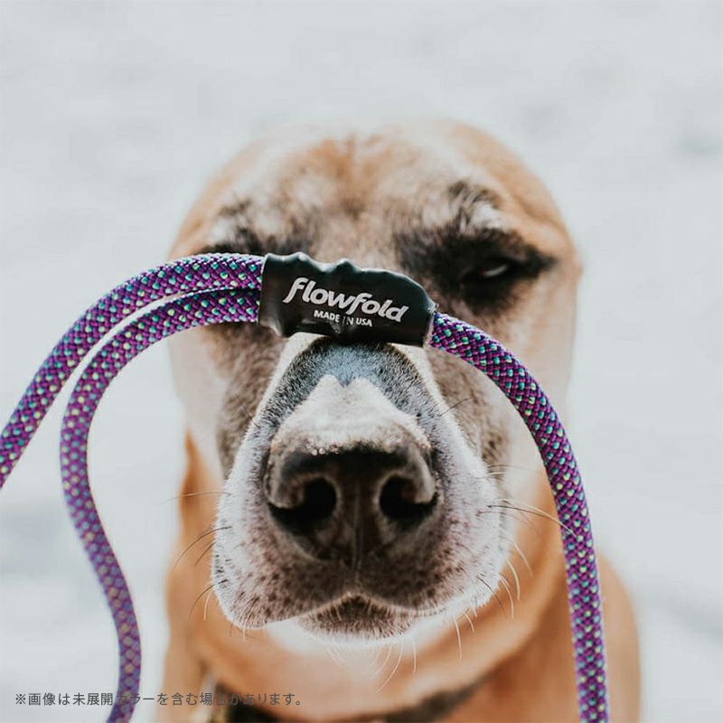 フローフォールド Flowfold 首輪 Sサイズ 小型犬用