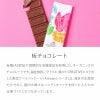 オーガニックチョコレート ギフト かわいい おしゃれ