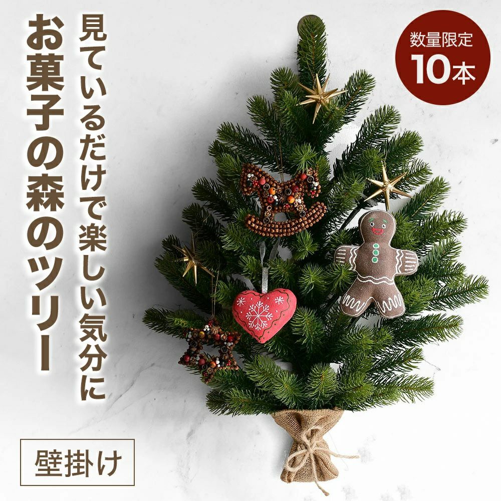 NUTS クリスマス特集｜ギフト・手土産・ツリー・オーナメントの