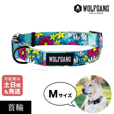 かっこいい中型犬用首輪 ウルフギャングマン＆ビースト公式販売店