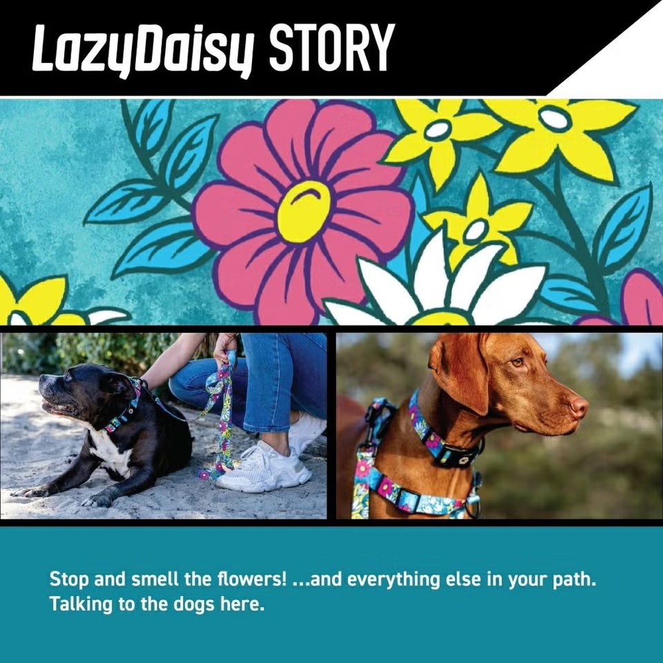 ウルフギャング マン＆ビースト ハーネス Mサイズ 中型犬用 LazyDaisy