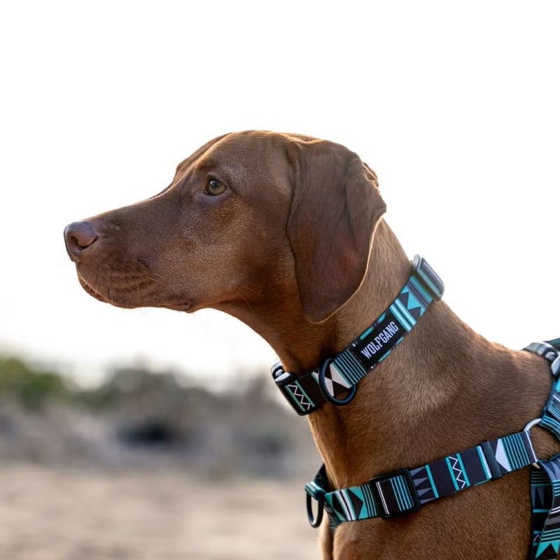 犬のハーネスリード　大型犬用　ウルフギャング