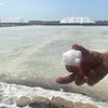 シチリア天日海塩 ラ・クチネッタ 粗塩 無添加 天然塩 200g