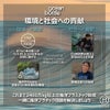 Ocean Bottle BREW COFFEE FLASK 350ml オーシャンボトル コーヒーボトル ステンレスボトル 水筒